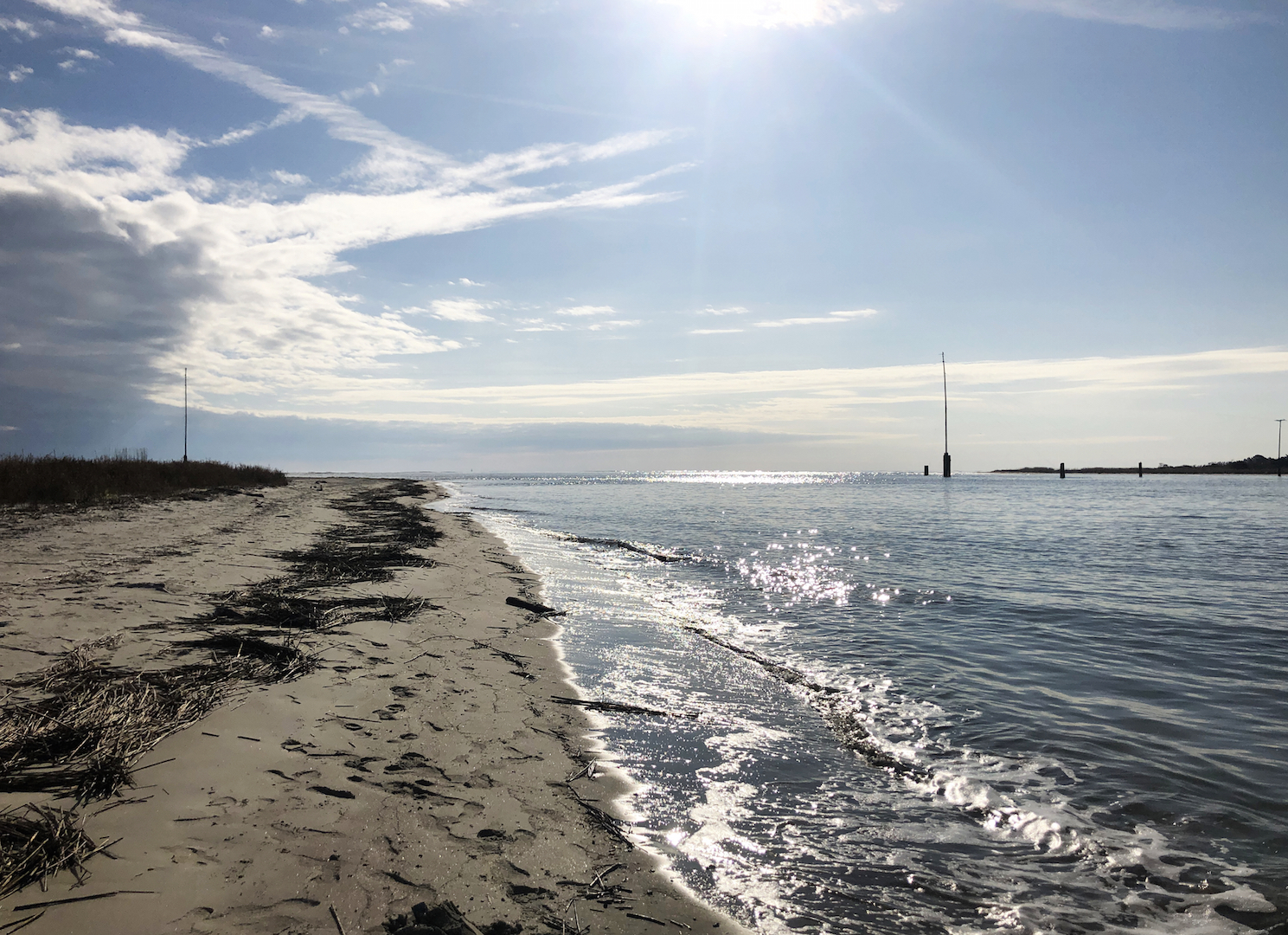 Capers Island & The Intracoastal Waterway – 2 Chicks, 50 States